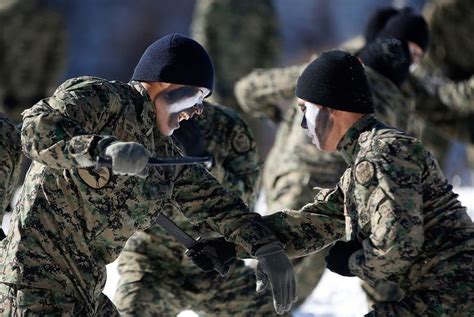 13 Intense Images Of South Korean Special Forces Training In The Snow ...