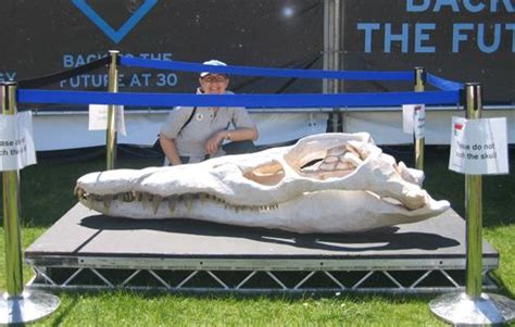 Big Pliosaur skull cast on display. | Prehistoric creatures, Pictures of fossils, Dinosaur fossils