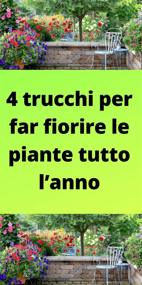 The Words 4 Trucchi Per Far Fiorire Le Pianoe Tutto L Amo