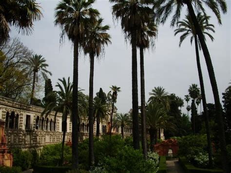 Alcazar Palace - Seville