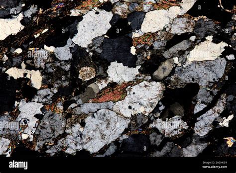 Polarised Light Micrograph Of A Thin Section Of Gneiss A Type Of