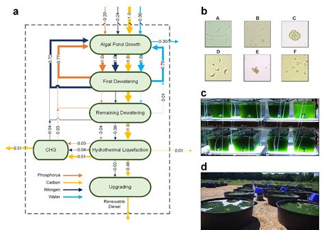 Figure 1 From Biodiversity Improves Life Cycle Sustainability Metrics