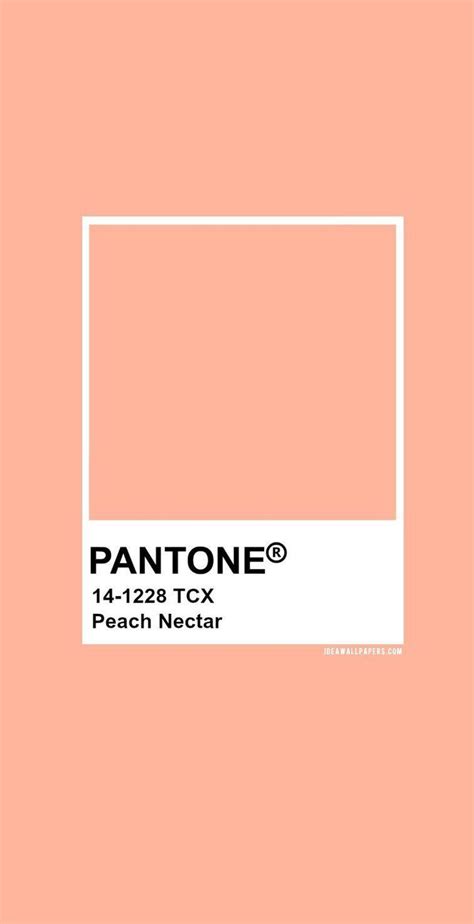 Pantone Peach Nectar Pantone 14 1228 Color Pantone Peach