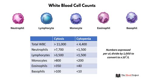 White Blood Cell Counts Cheat Sheet • The Blood Project