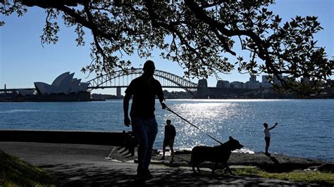 Shark mauls woman in rare Sydney Harbour attack