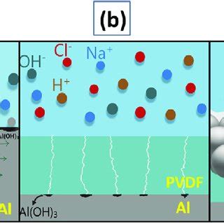 Schematics Of How The Corrosion Process Occurs On A Bare Al B