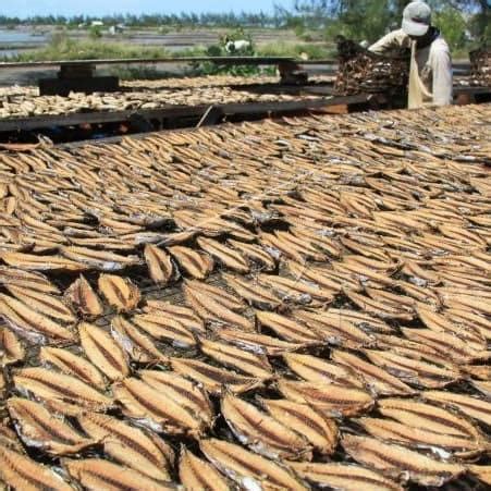 Jual Ikan Kayu Keumamah Aceh Kg Shopee Indonesia