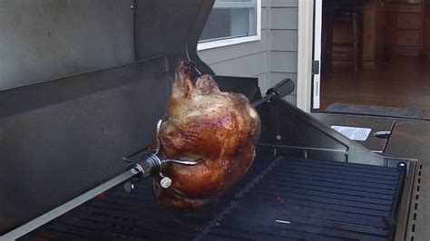 Chicken Porn YouTube