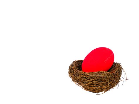 Easter Egg In A Bird Nest Space Traditional Happy Brown PNG