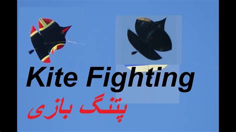 Patang Bazi Canada Kite Fighting Kite Flying Pipa Combate I Basant