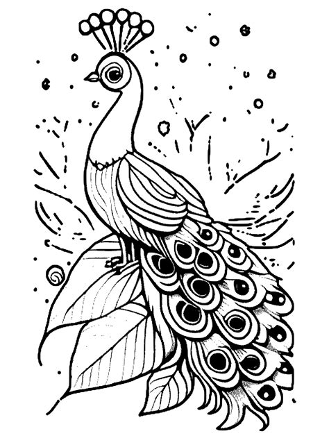 Pretty Peacock Coloring Page · Creative Fabrica