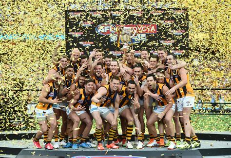 Hawthorn Hawks 2015 AFL Grand Final Premiership Flag