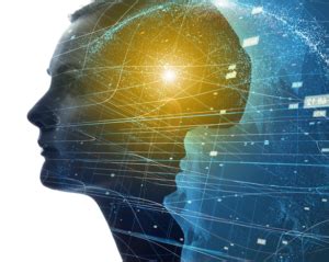 Atuação na Psicologia: Conheça as 5 principais áreas - Universidade FUMEC