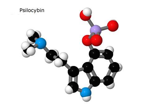 Psilocybin The Chemistry Beezone Library