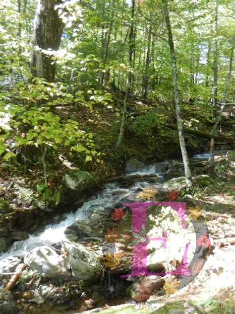 Dark Hollow Falls, Virginia