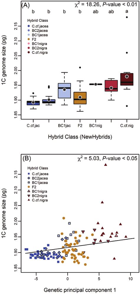 Associations Between Genetic Ancestry And Genome Size Mean Offspring Download Scientific