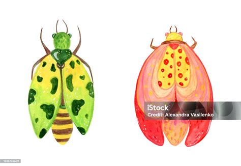 Abstract Spring Pink And Green Beetles With Spots For Festive