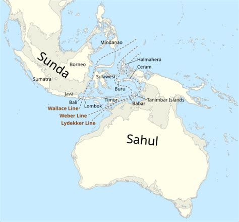 glacial maximum wikipedia