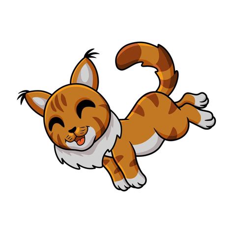 Cute Maine Coon Cat Cartoon Vector Art At Vecteezy