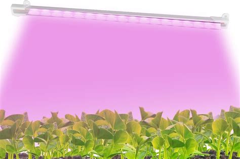 Solar Grow Lights For Outdoor Indoor Plants Led Grow Light Strip Plant Growing