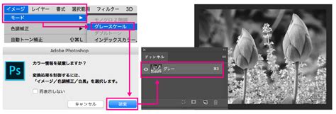 グレースケールで写真などを綺麗にモノクロ印刷 冊子製本お役立ちコラム