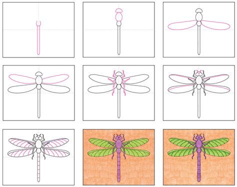 Draw a Realistic Dragonfly · Art Projects for Kids