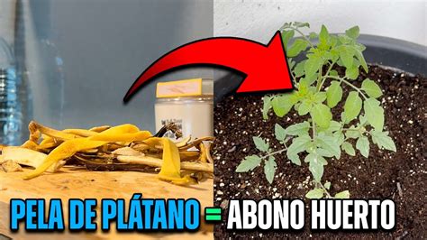 Hago Abono Natural Con Pl Tanos Para El Huerto Urbano F Cil Y R Pido