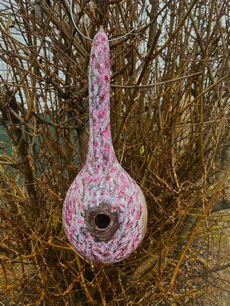 Peach Tree Blossoms Handpainted Gourd Birdhouse Etsy