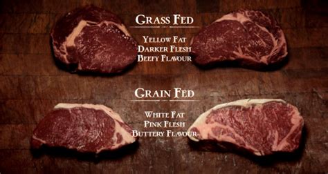 You Choose Grain Fed Beef Or Grass Fed Beef Youll Be Surprised At The Difference Pats Gym