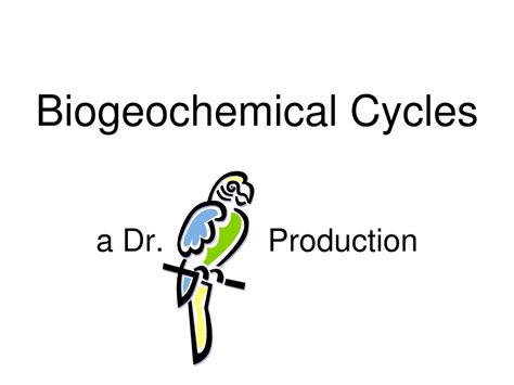 PPT - Biogeochemical Cycles PowerPoint Presentation, free download - ID ... 