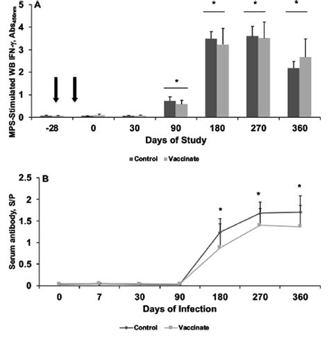 Secretion Of Interferon Gamma Ifn C Abs In Whole Blood Assay