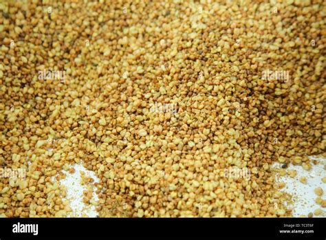 Tartary buckwheat tea Stock Photo - Alamy