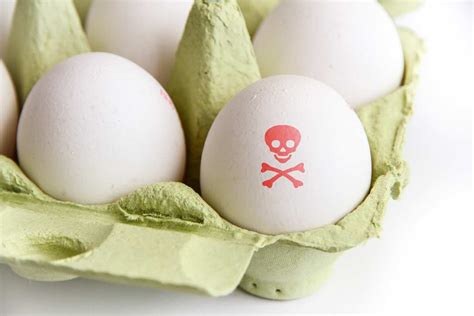 Eggs And Salmonella Dangers