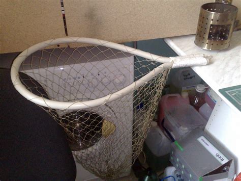 Подсак своими руками: применение, технология изготовления