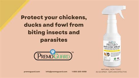 Poultry Pests Such As Mites And Fleas Can Be A Major Problem For Chicken Owners