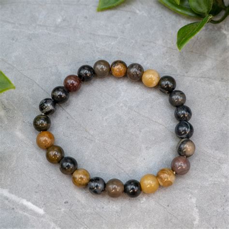 Petrified Wood Bracelet The Crystal Council