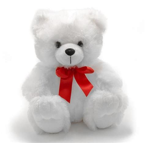 White Teddy Bear Images