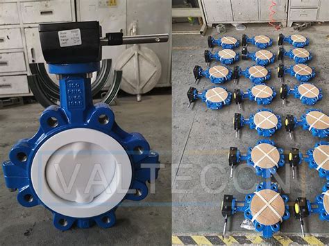 Ptfe Full Lined Butterfly Valve Split Body With Worm Gear Exported To South Africa Artofit