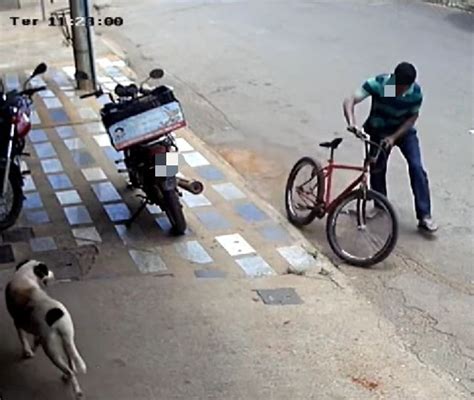 Carmo Do Parana Ba Homem Furta Bicicleta Em Plena Luz Do Dia Pr Ximo