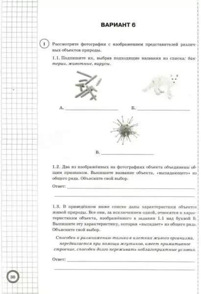 Впр 5 класс биология 2024 распечатать