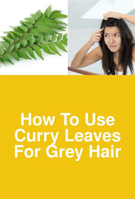 How To Use Curry Leaves For Grey Hair Grey Hair Curry Leaves Curry