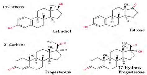 Chemical Structure Of Natural Sex Steroids Download Scientific Diagram