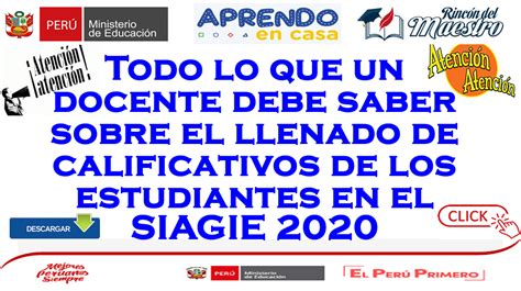 📚 【 ¡atención Todo Lo Que Un Profesor Debe Saber Sobre La