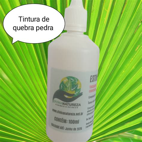 Tintura De Quebra Pedra 100 Ml Divina Natureza