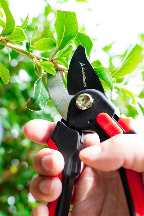 Pruning Shears – AlpineReach