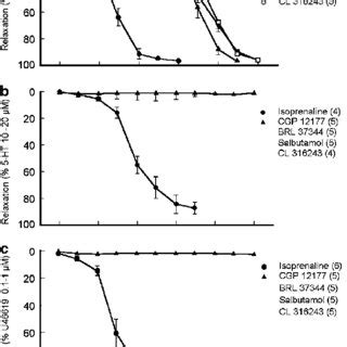 Concentration Response Curves For Phenylephrine Induced Contraction In