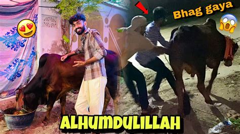 Finally Apna Qurbani Ka Janwar Le Liya 😍 Janwar Shapatar Nikla 😱 Youtube