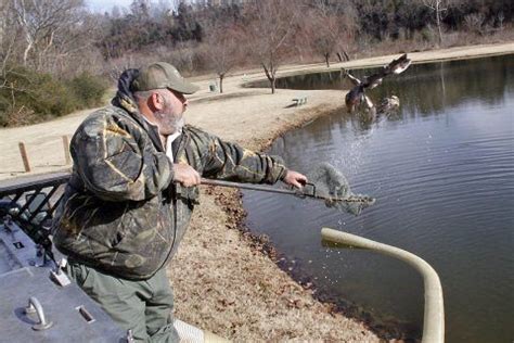 TWRA Releases 2019 19 Winter Trout Stocking Schedule Trout Stocking