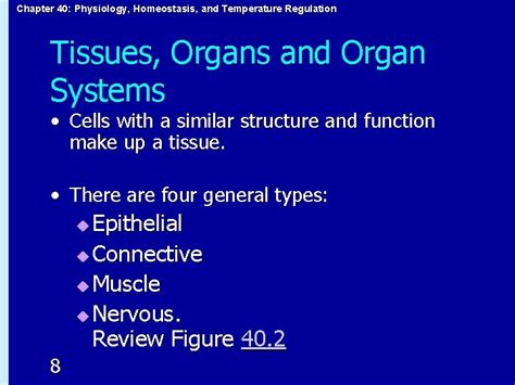 Chapter 40 Physiology Homeostasis And Temperature Regulation CHAPTER