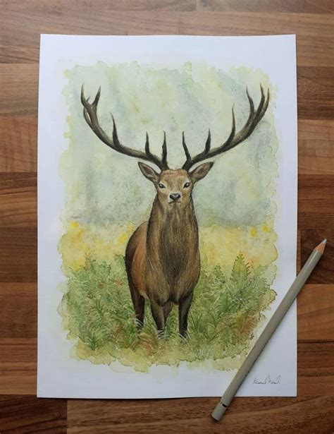 Aquarelle Originale Cerf Cerf En Dehors De La Ville Etsy